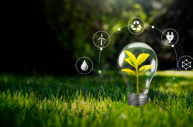 Servicios Gestión ambiental